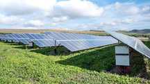 Cravação de estacas para estructuras de paineis solares e vedações.