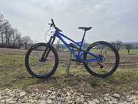 Dartmoor Blackbird Evo 29