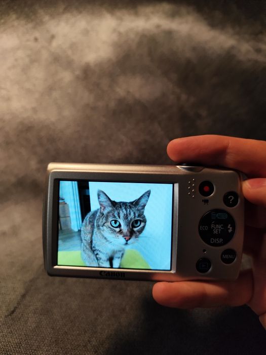 Canon PowerShot A25000 цифровий фотоапарат, мильниця