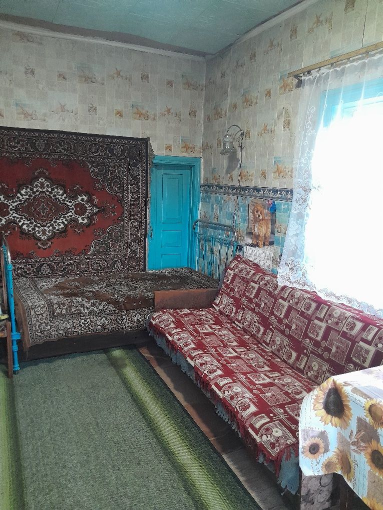 Продам  будинок в с. Бахмач 1.  Центральна вулиця