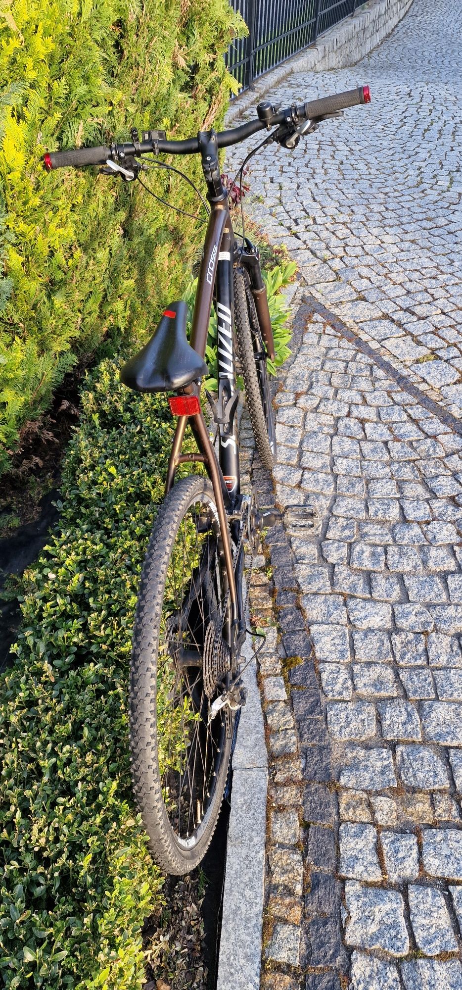 Specialized Cross trail