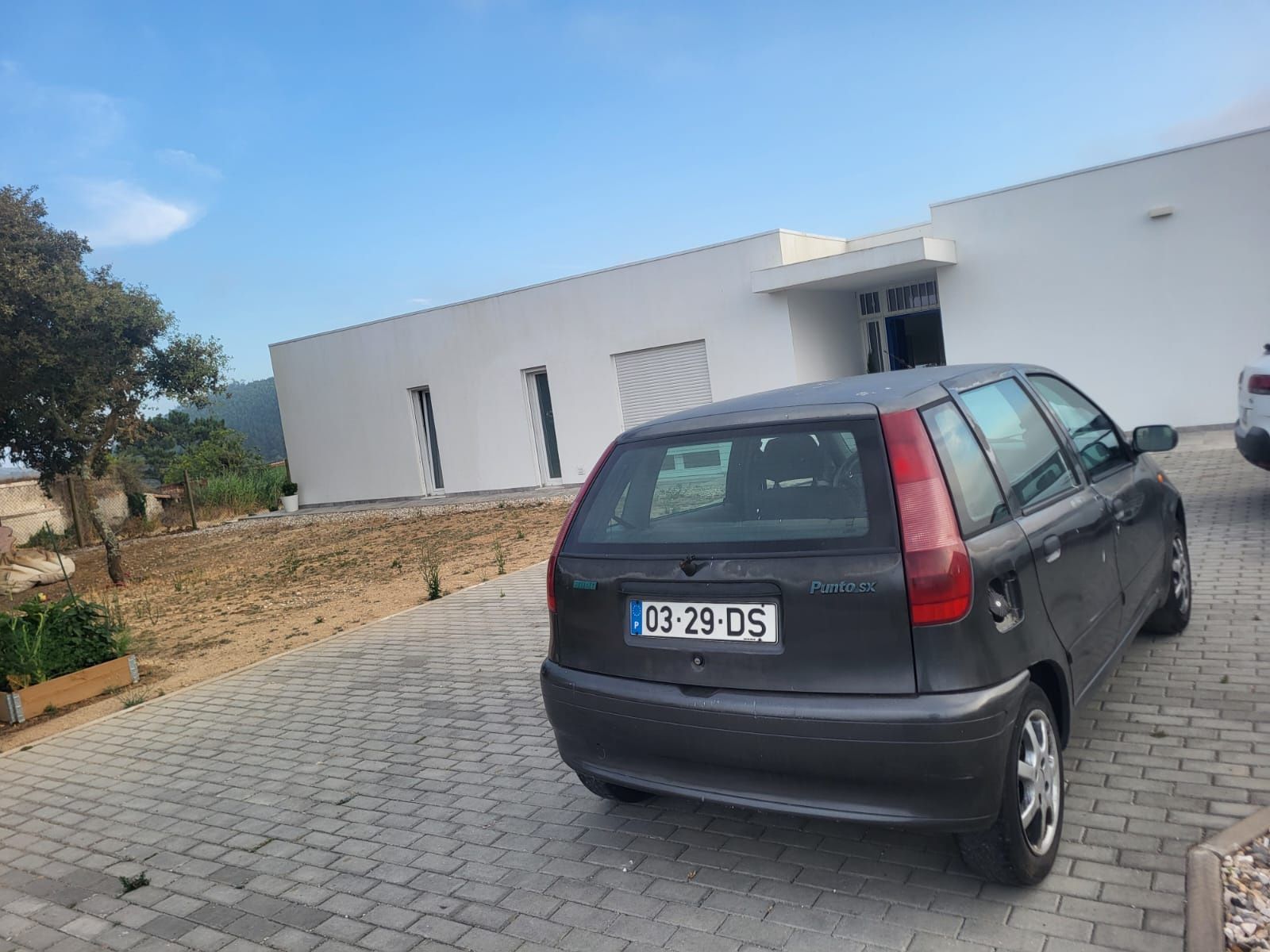 Fiat Punto 55 SX