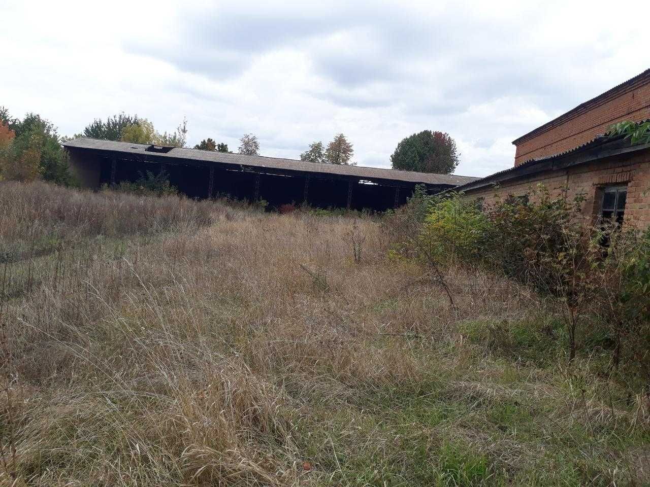 (3) Продам комерційне приміщення в селі Іванівка 9006