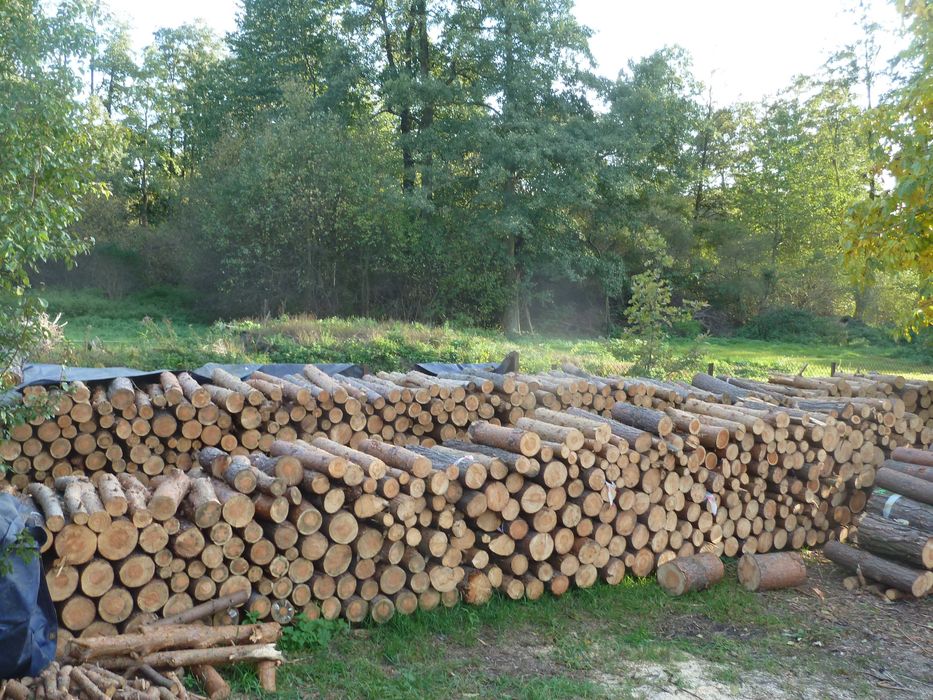 Drewno kominkowe i opałowe