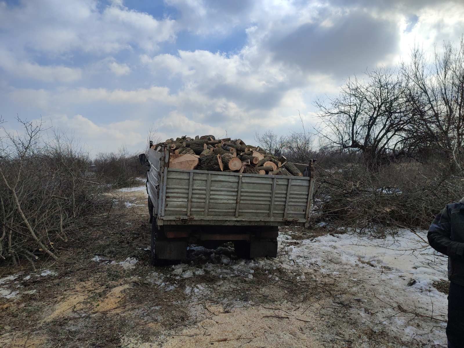 Продам дрова пиляні