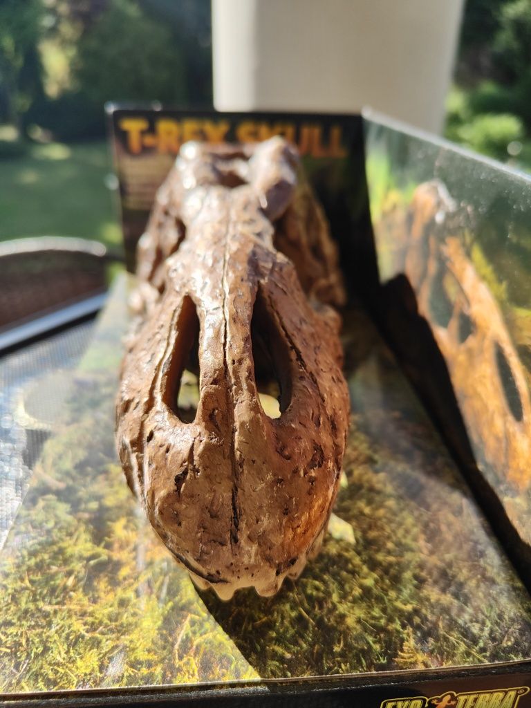 EXO TERRA czaszka t-rex