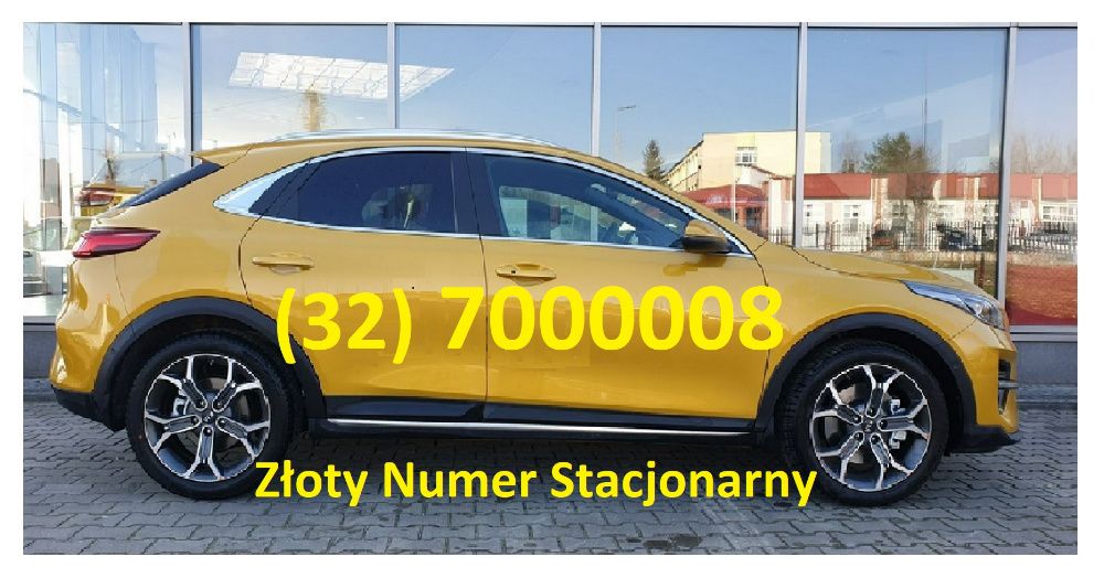 Złoty Numer Stacjonarny (32) 7OOOOO8