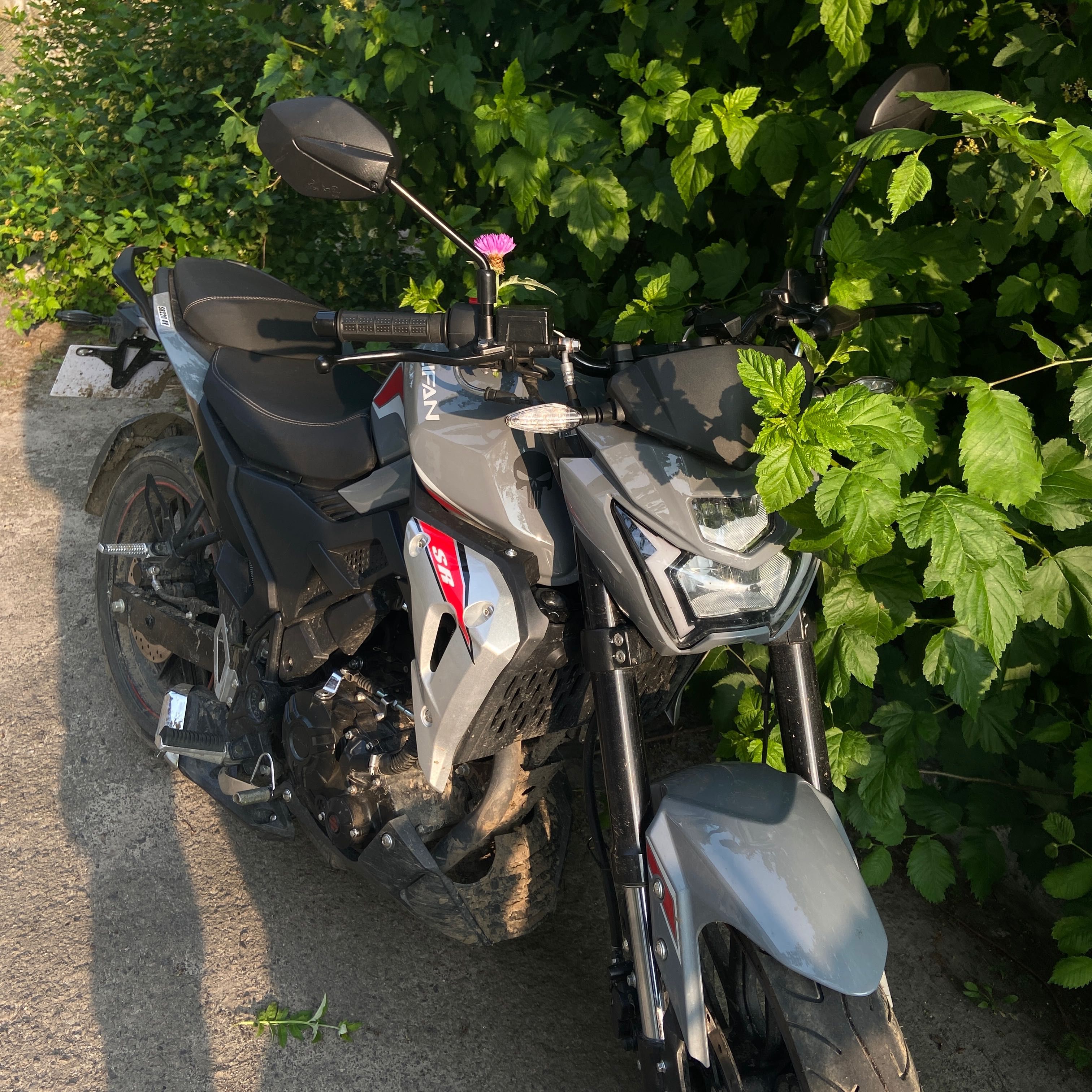 Lifan sr220 мотик