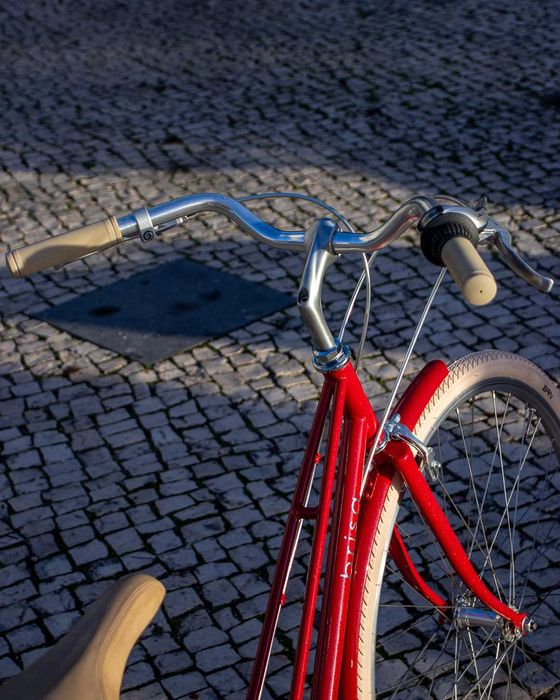 Bicicleta Cidade Brisa Bordeaux Customizada