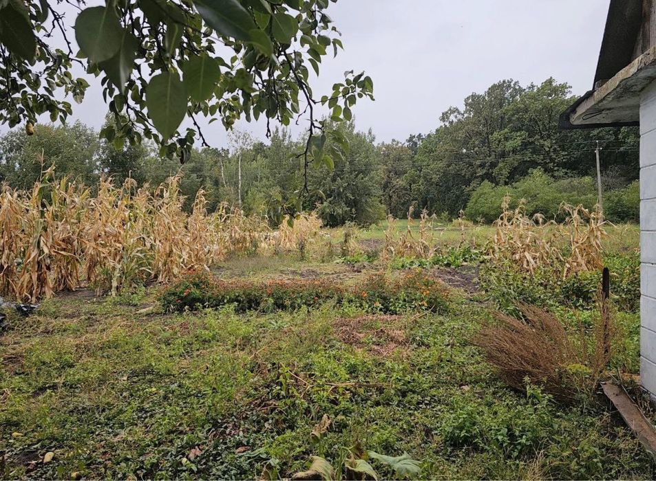 Продаж будинку с.Шамраївкв