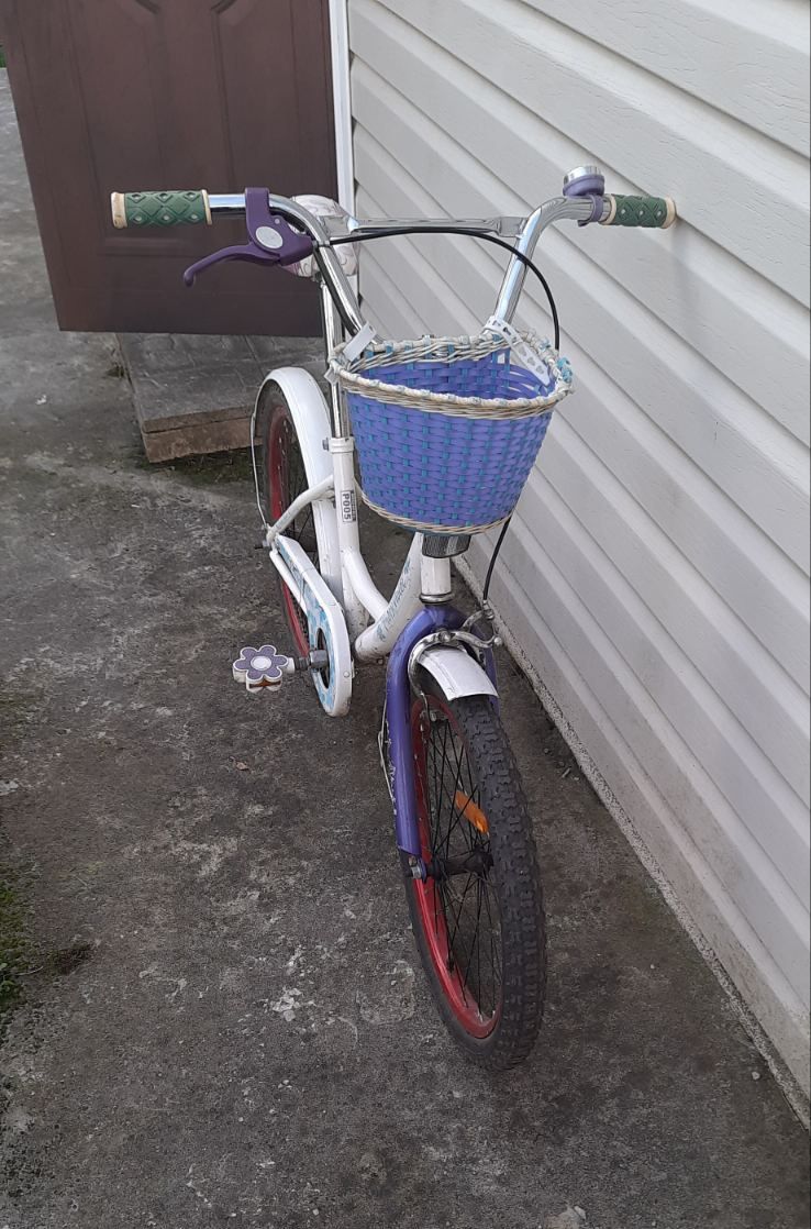 Детский велосипед от  Profi  Violet 20"
