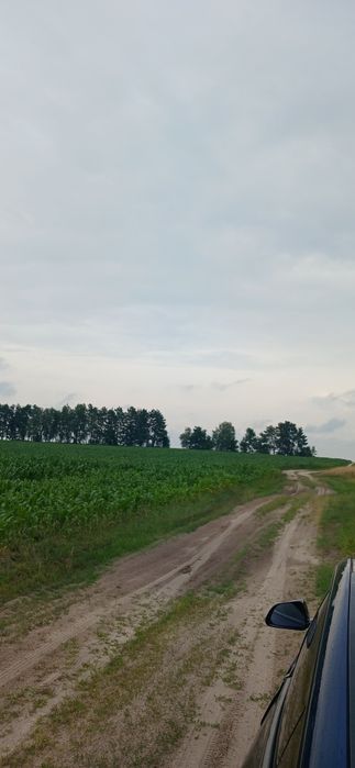 Продам земельну ділянку