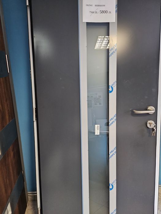 Drzwi wejściowe Hormann