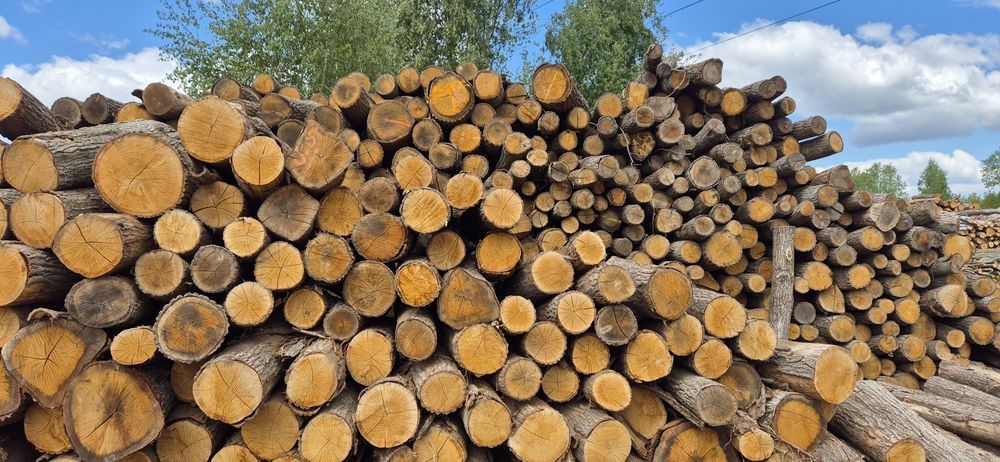 DĄB, Sezonowane Drewno kominkowe, do kominka, do pieca, woj. Łódzkie