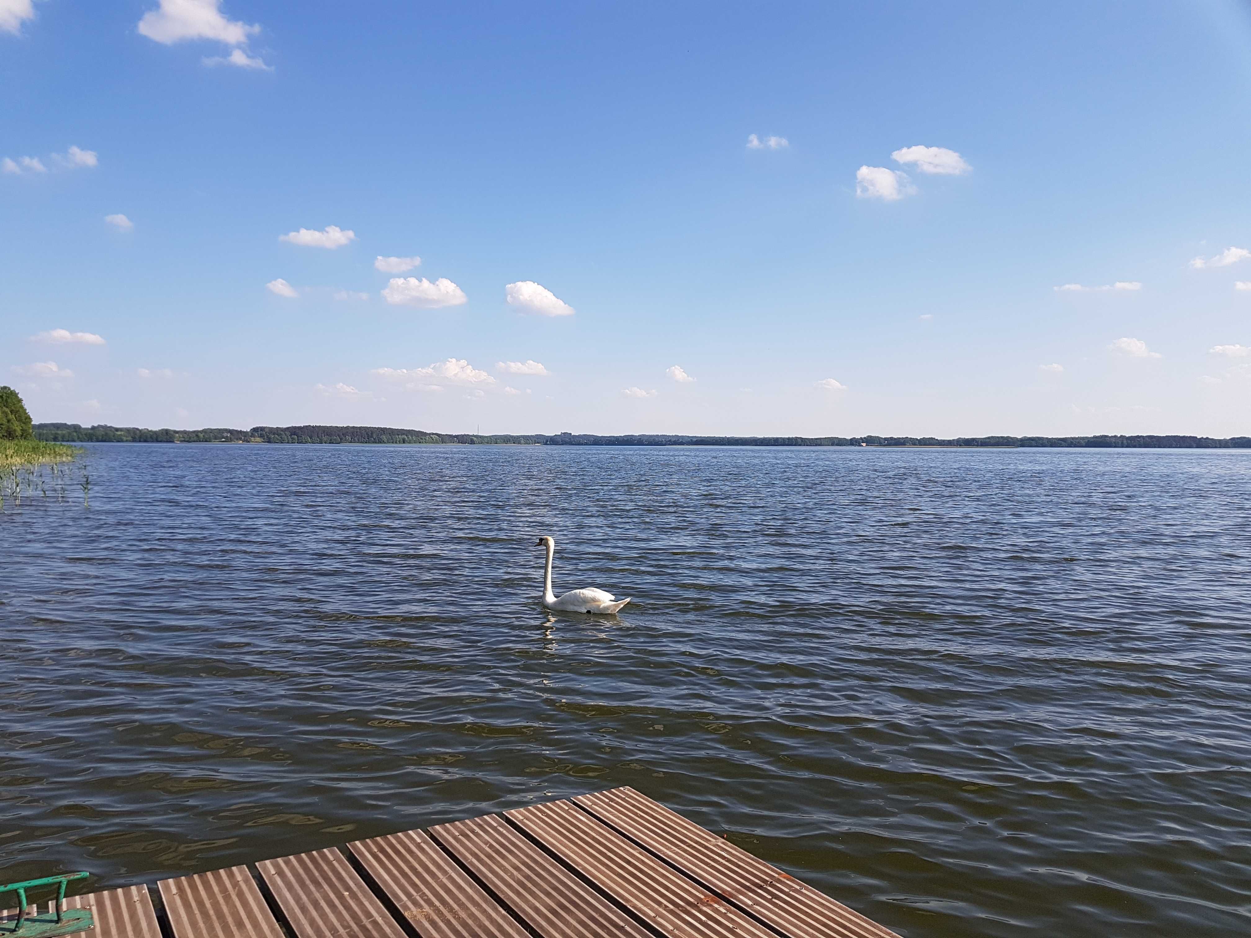 Mazury dom wakacyjny z dostępem do jeziora. Mazurska Niezapominajka.