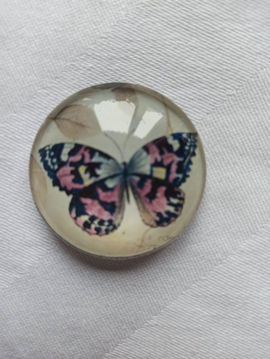 Magnes na lodówkę: śliczny kolorowy motylek