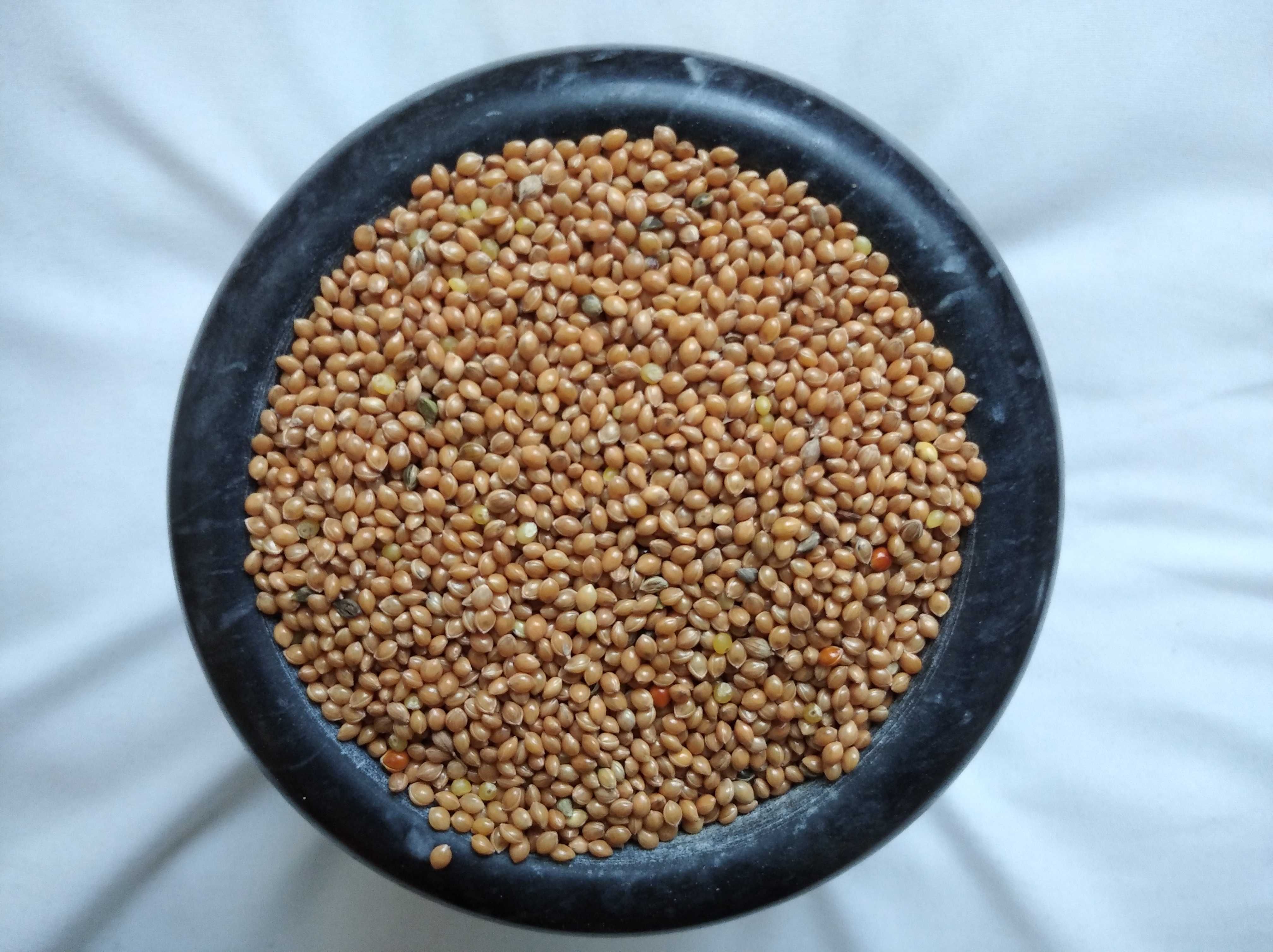 Proso karma dla kur, papug, gołębi, bażantów, przepiórek .Paczka 25kg