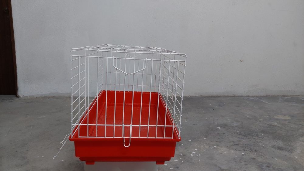 Gaiola porquinho da india