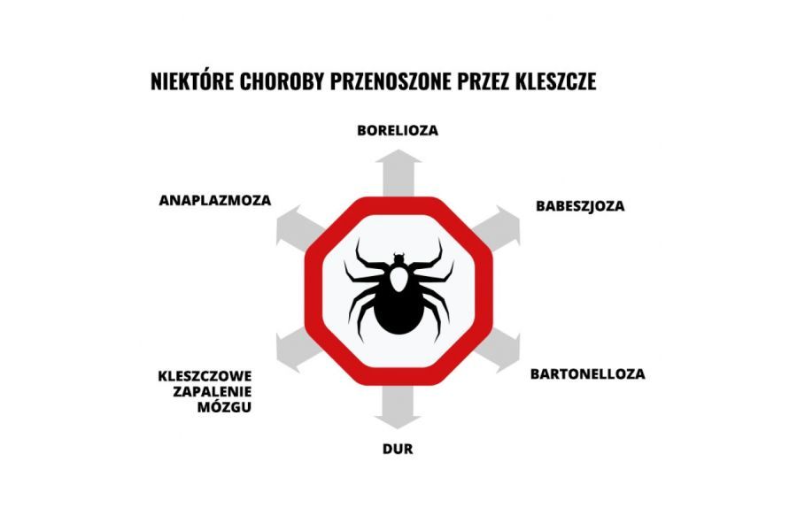 Odstraszacz na komary i owady, Mugga spray 75ml IKARYDYNA 25%