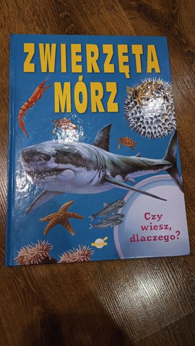 Książka Zwierzęta Mórz