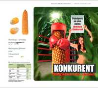 Nasiona kukurydzy Konkurent Polonez Rywal Pomerania