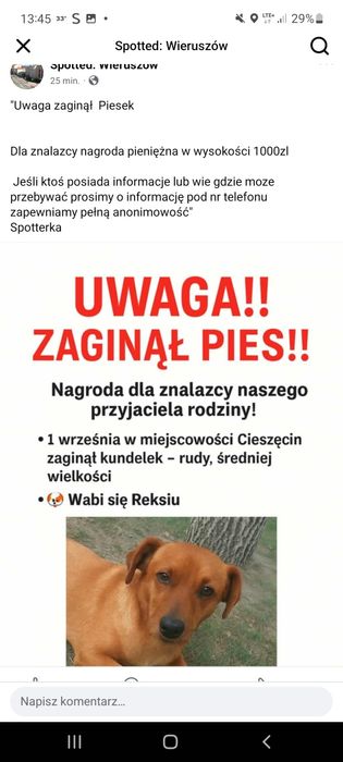 Zaginiony Reksiu