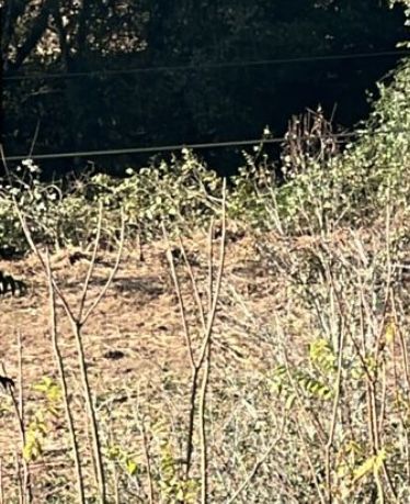 Recebo terra para aterramento