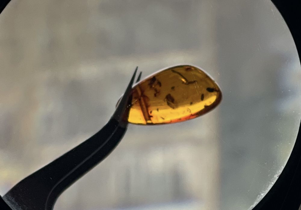 Натуральный янтарь с инклюзами (3 фрагмента).