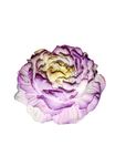 Flor em gesso perfumado com íman