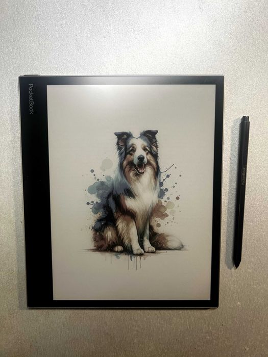 PocketBook InkPad EO