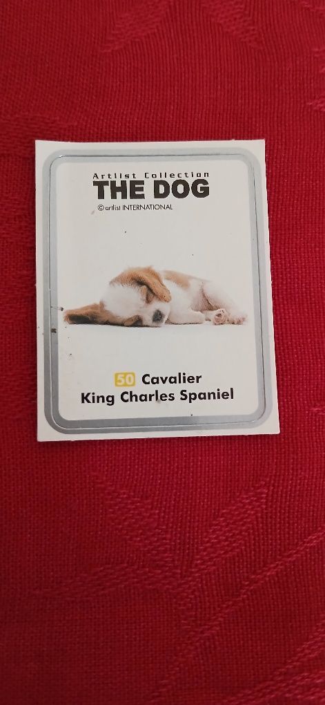 Autocolante The Dog n° 50