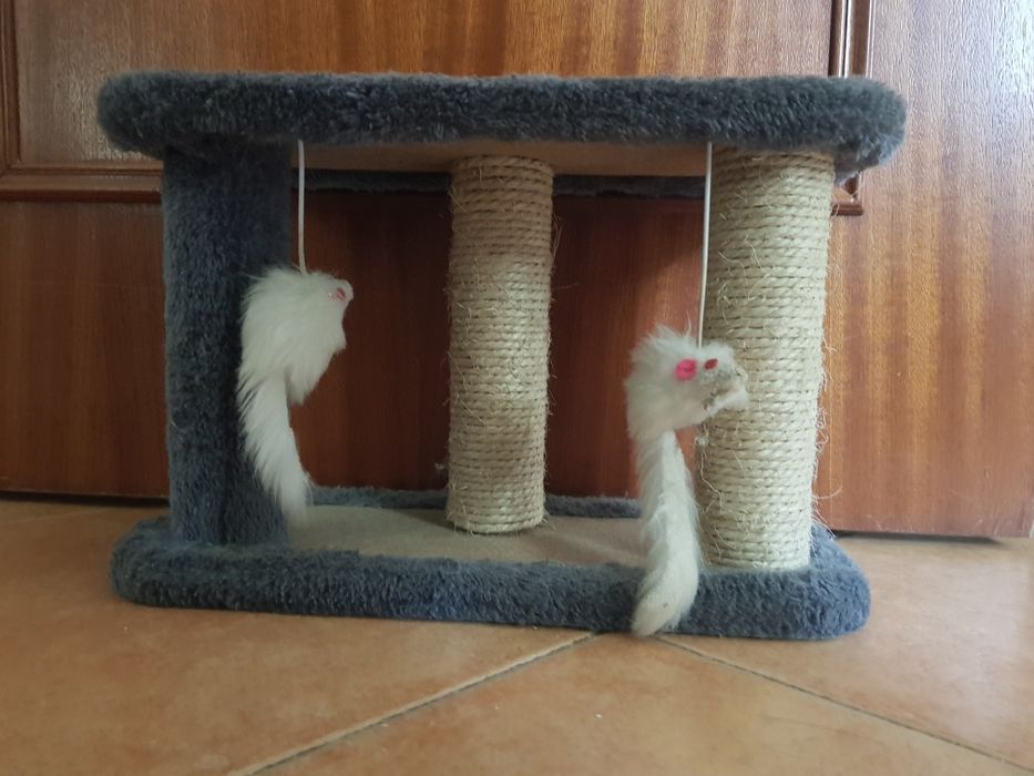Mini arranhador - Gato pequeno