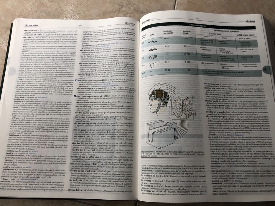 Dicionário Médico Stedman