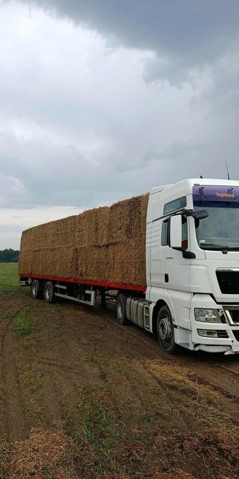 Snopki słomy, duża kostka 1.2 x 1.2. słoma