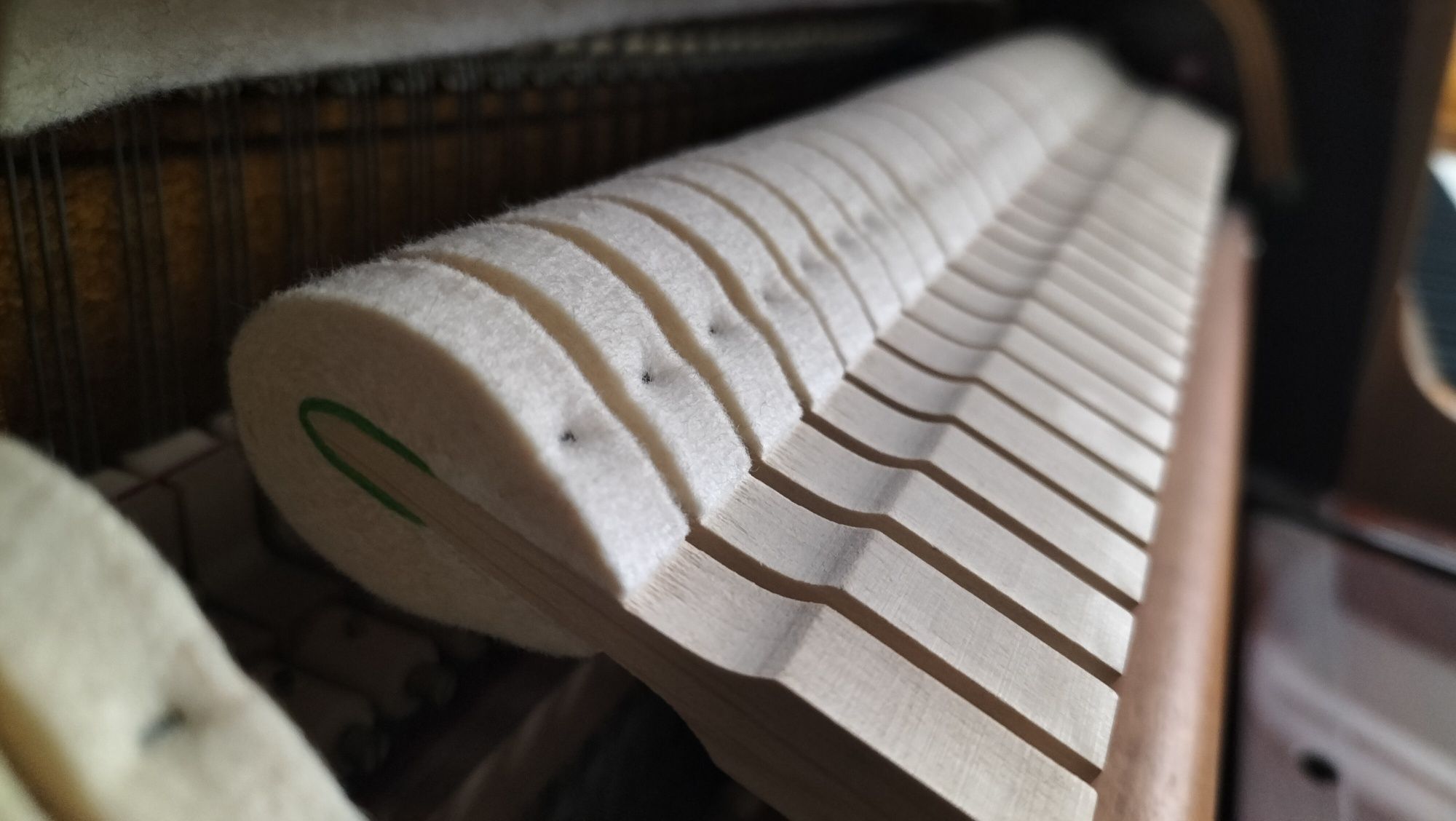 Panino Bohemia 110 piękne jak nowe