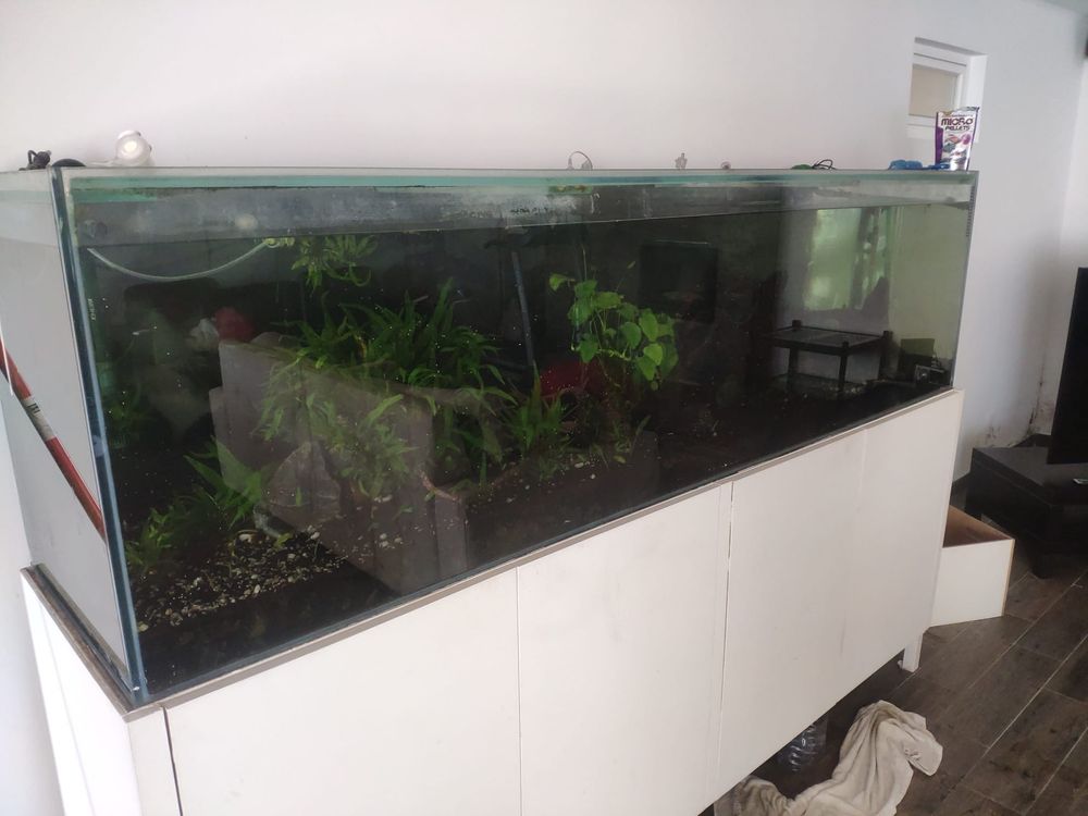 Aquario com movel 660 litros