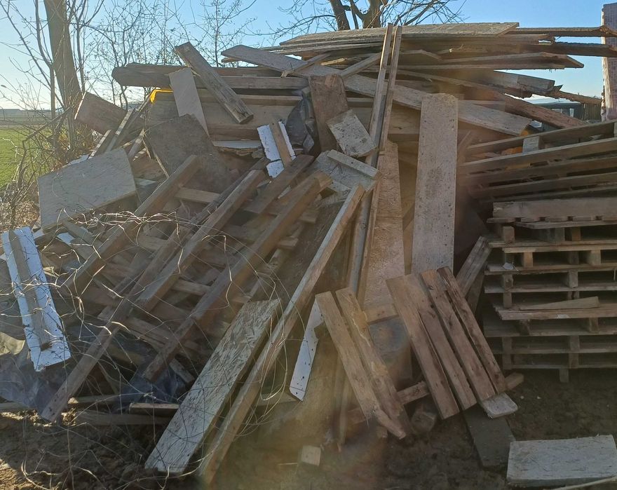 drewno, drzewo, opał oddam za darmo