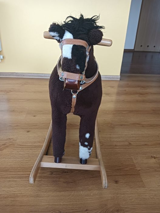 Konik na biegunach. Wyłącznie odbiór osobisty.