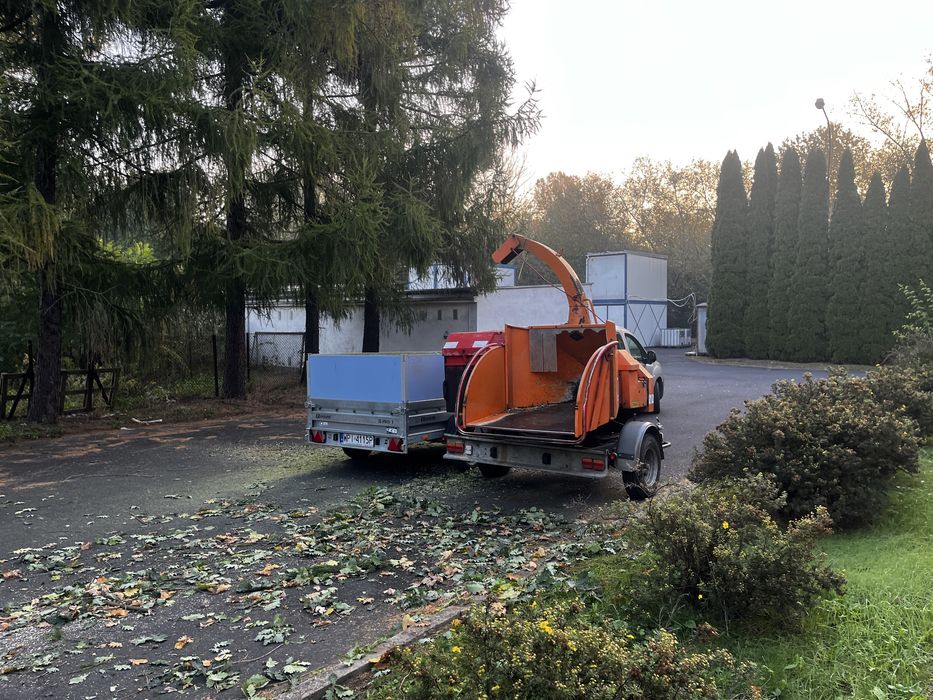 Wycinka drzew, pielegnacja drzew, przygotowanie terenu pod budowe