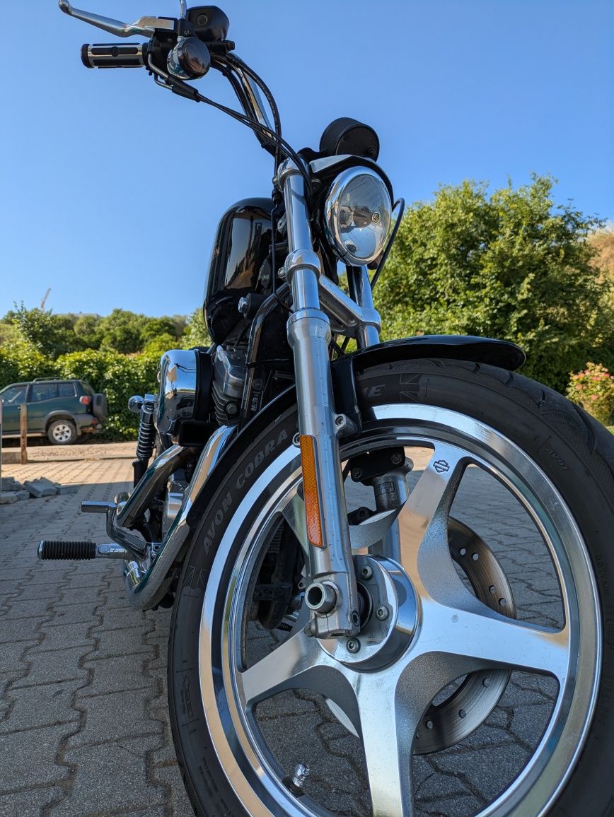 Harley Davidson 883