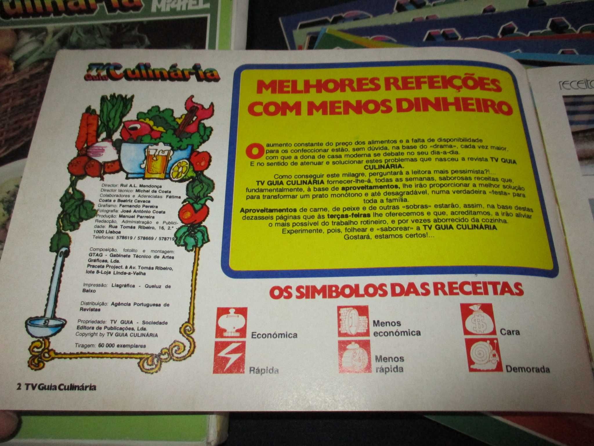 Livro TV Guia Culinária Michel Fichas 1981