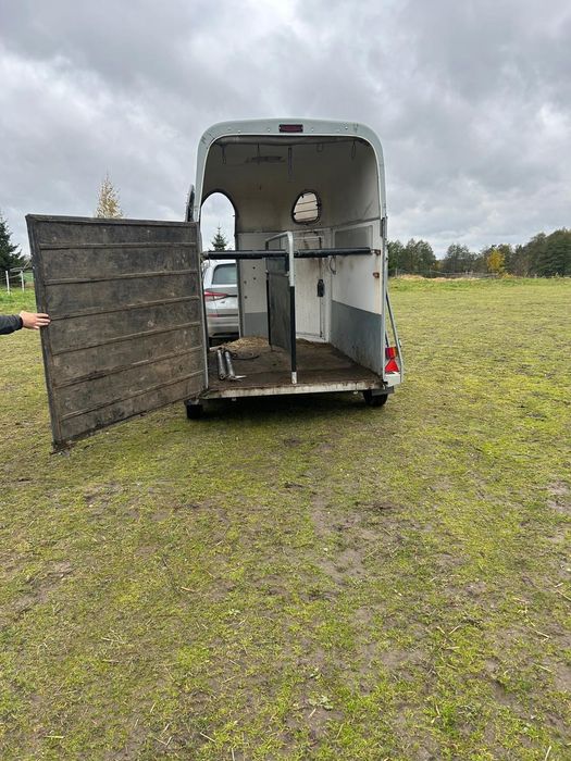 Przyczepa do koni  z 2005 roku dmc 2000 kg