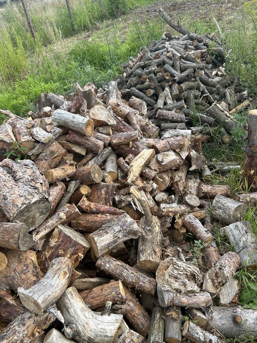 Mieszanka Drewno dąb sosna opał