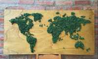 Mapa de mundo em musgo natural sobre madeira pins prenda natal