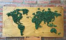 Mapa de mundo em musgo natural sobre madeira pins prenda natal