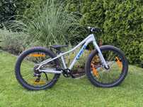 Rower Trek Roscoe 24”