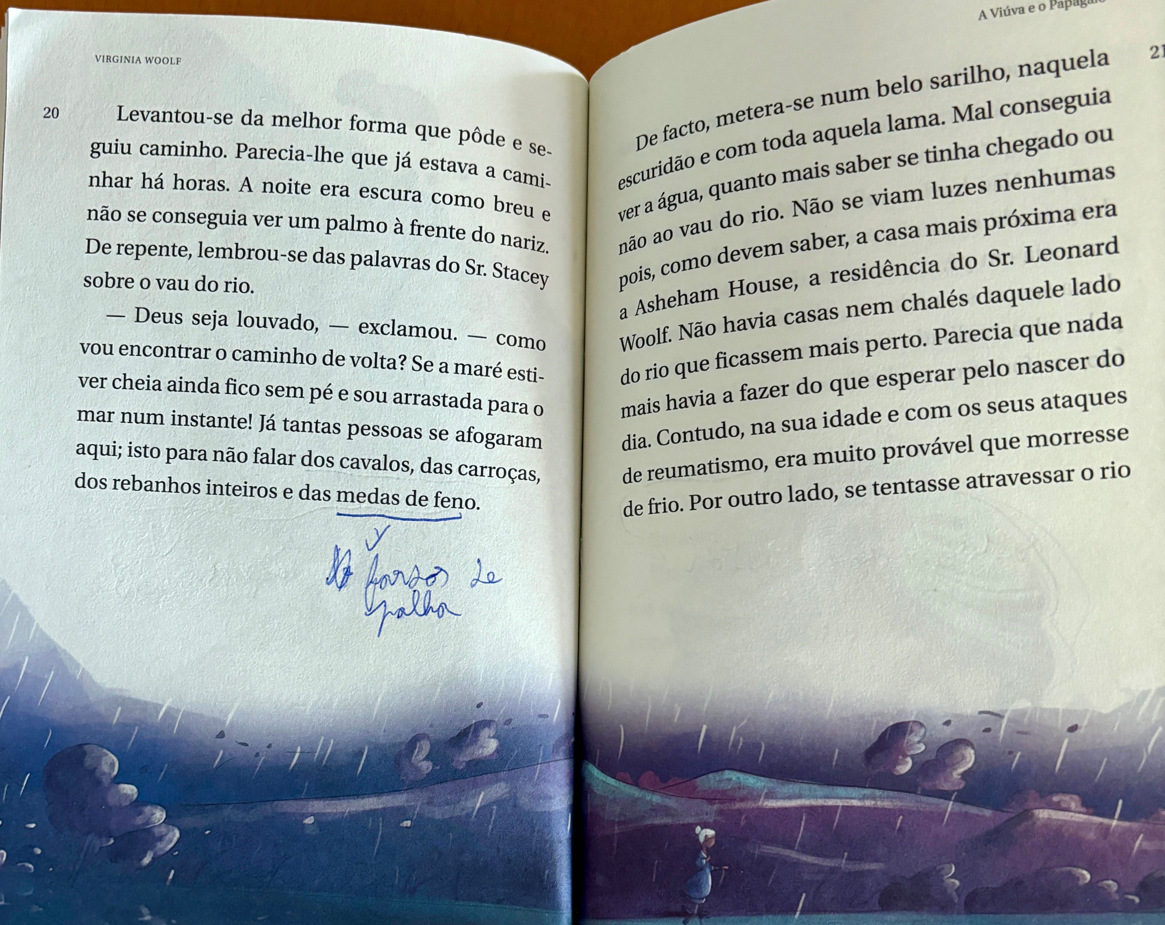 Livro “A Viúva e o Papagaio “ - PNL do 5.º ano