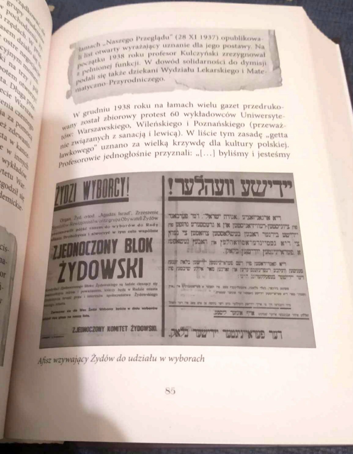 Książka "Róg obfitości czy puszka Pandory. Kultura w II Rzeczypospolit