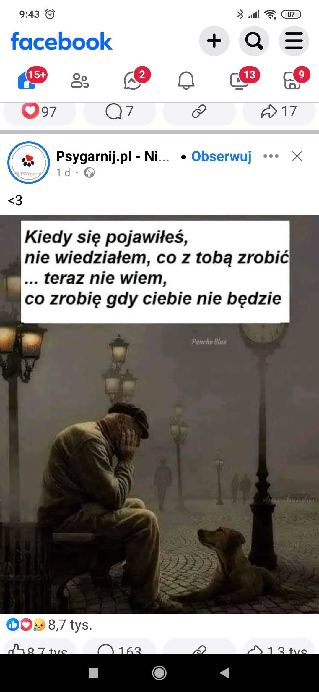 Bluzeczka 13-14 lat 164