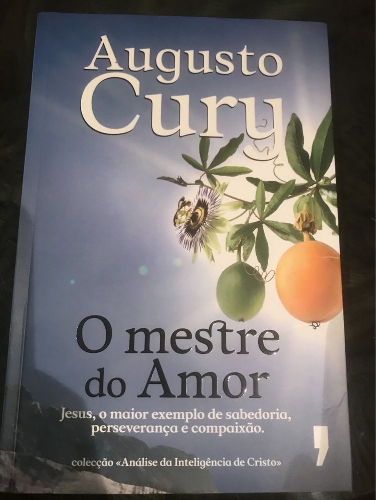 Livro O mestre do amor - Augusto Cury